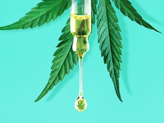 cannabis leaf and a dropper containing cannabis oil