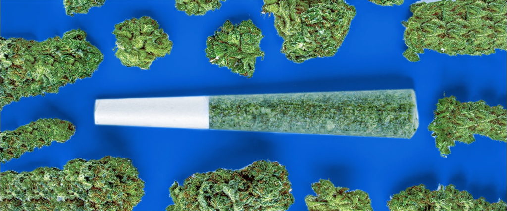 Teal Cannabis pre-roll