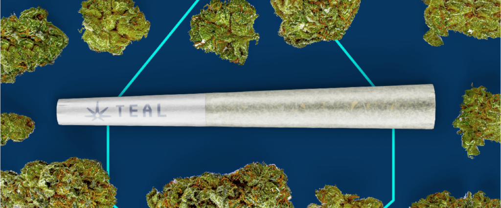 a Teal pre-roll surrounded by cannabis